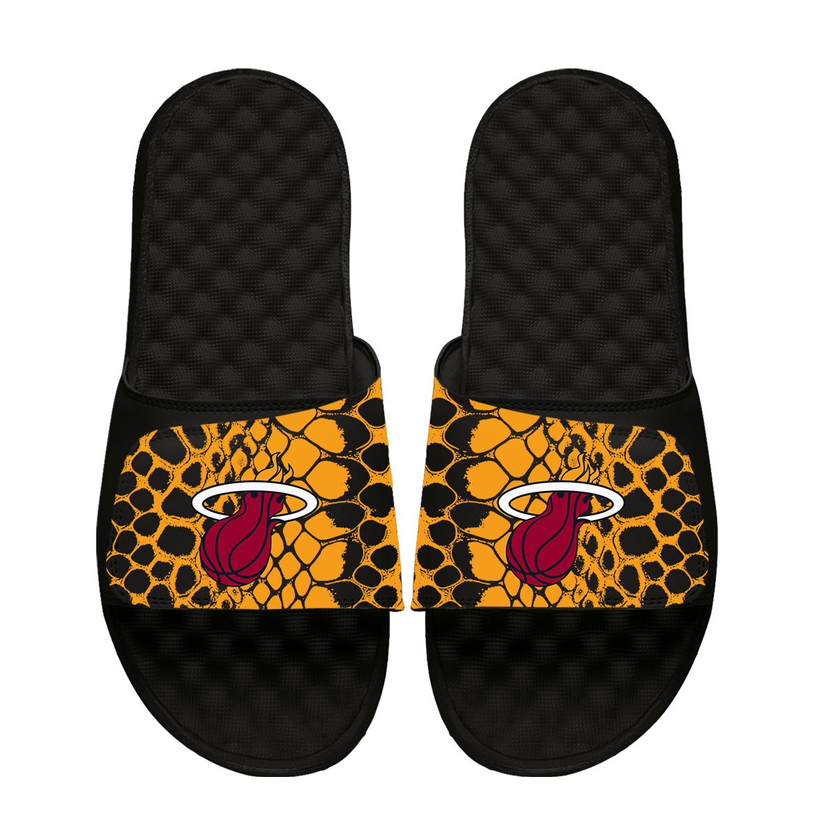 Army Black Knights Year of the Snake Slides
