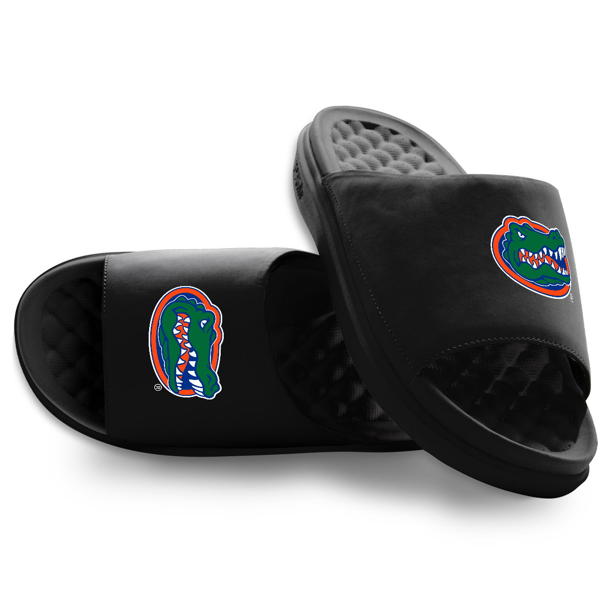 Florida Gators Primary Motive Slides