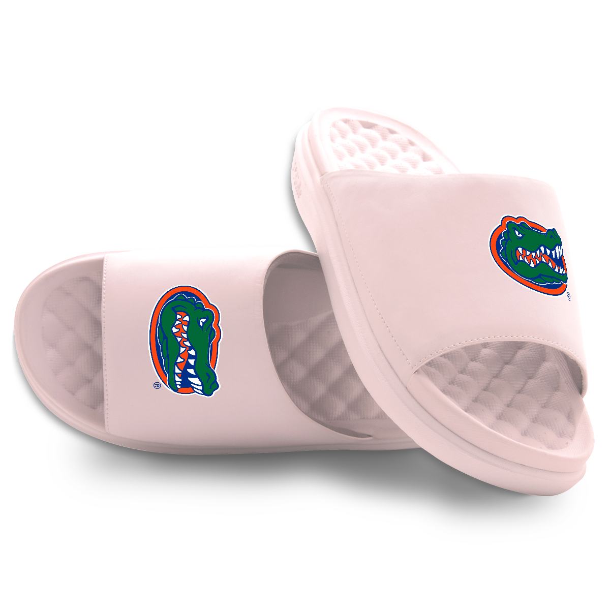 Florida Gators Primary Motive Slides