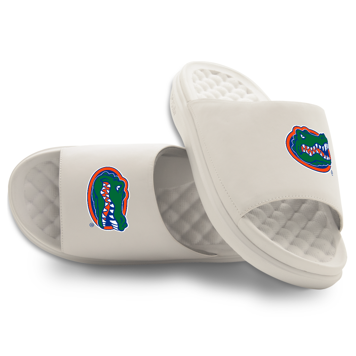 Florida Gators Primary Motive Slides