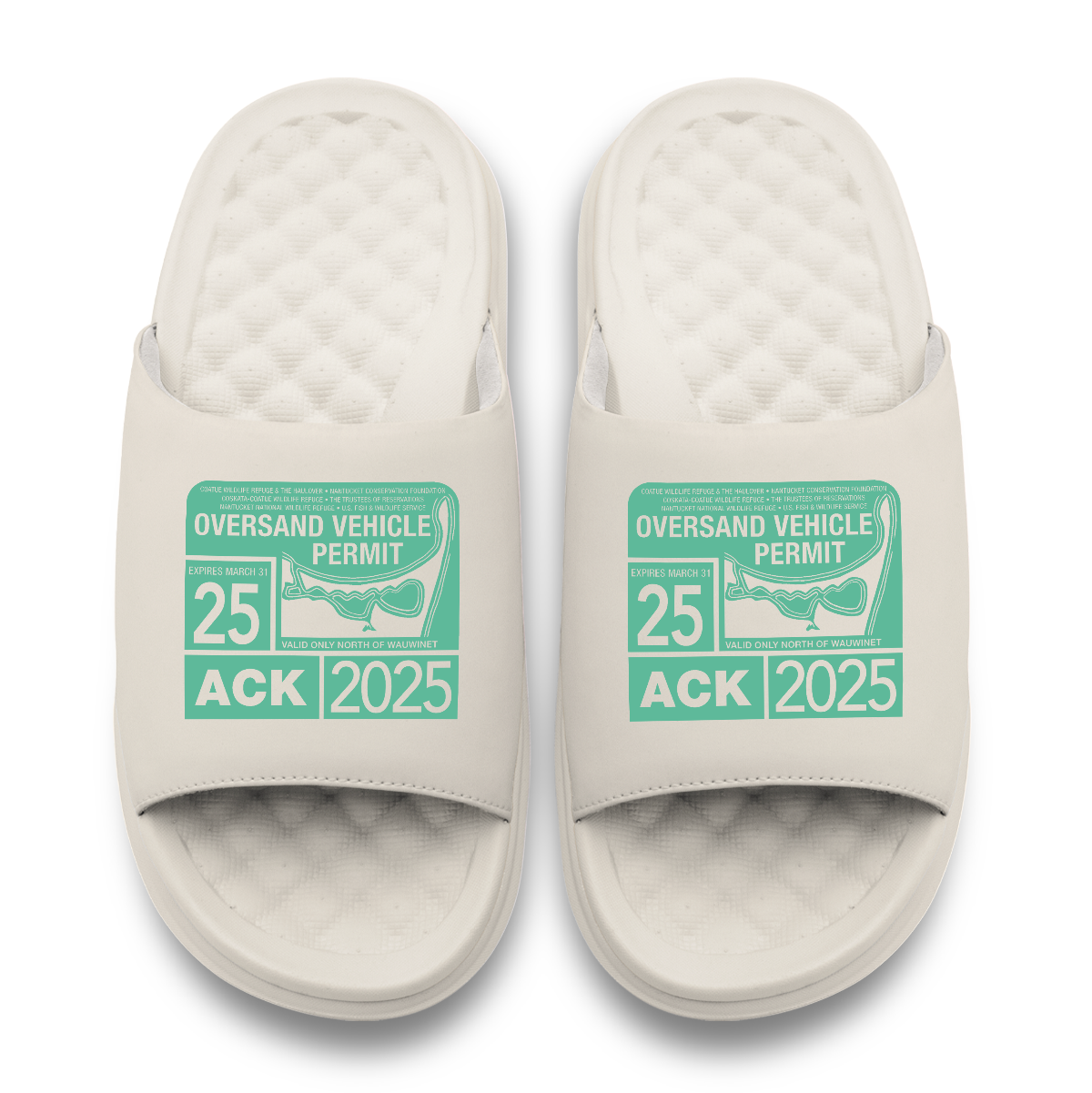 Nantucket Permit Primary Motive Slides