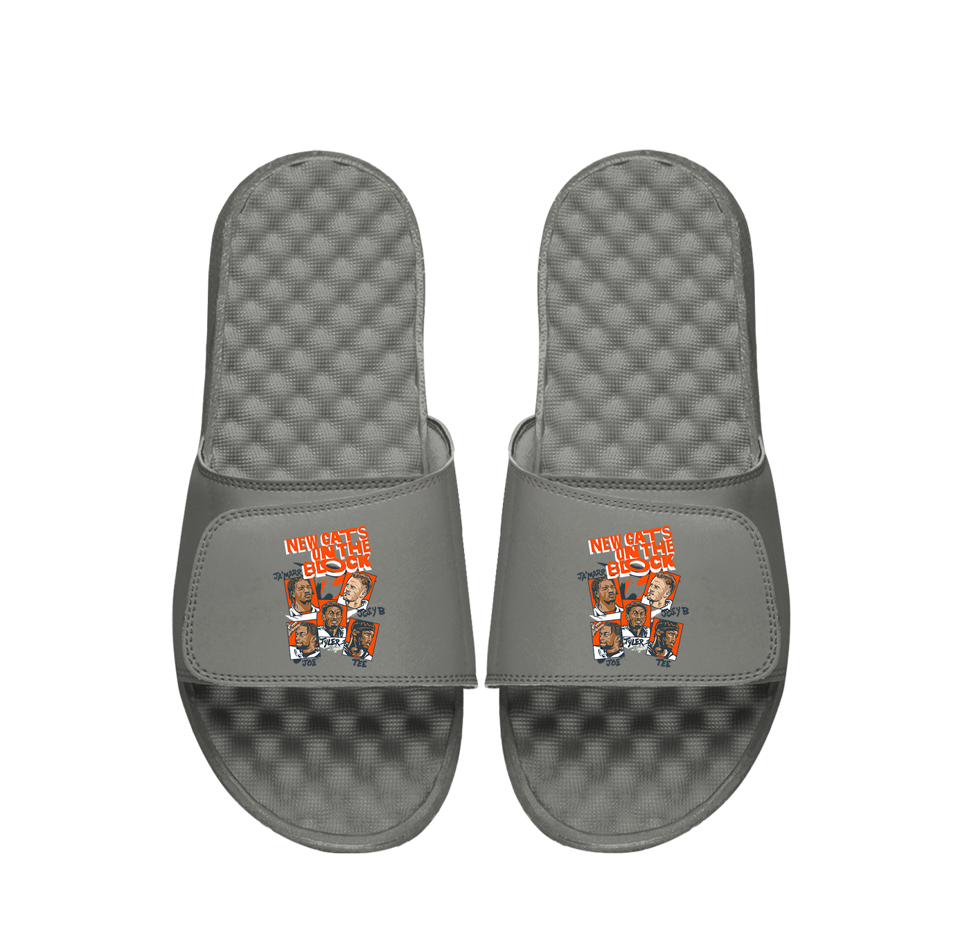 Cincinnati Bengals New Cats BreakingT