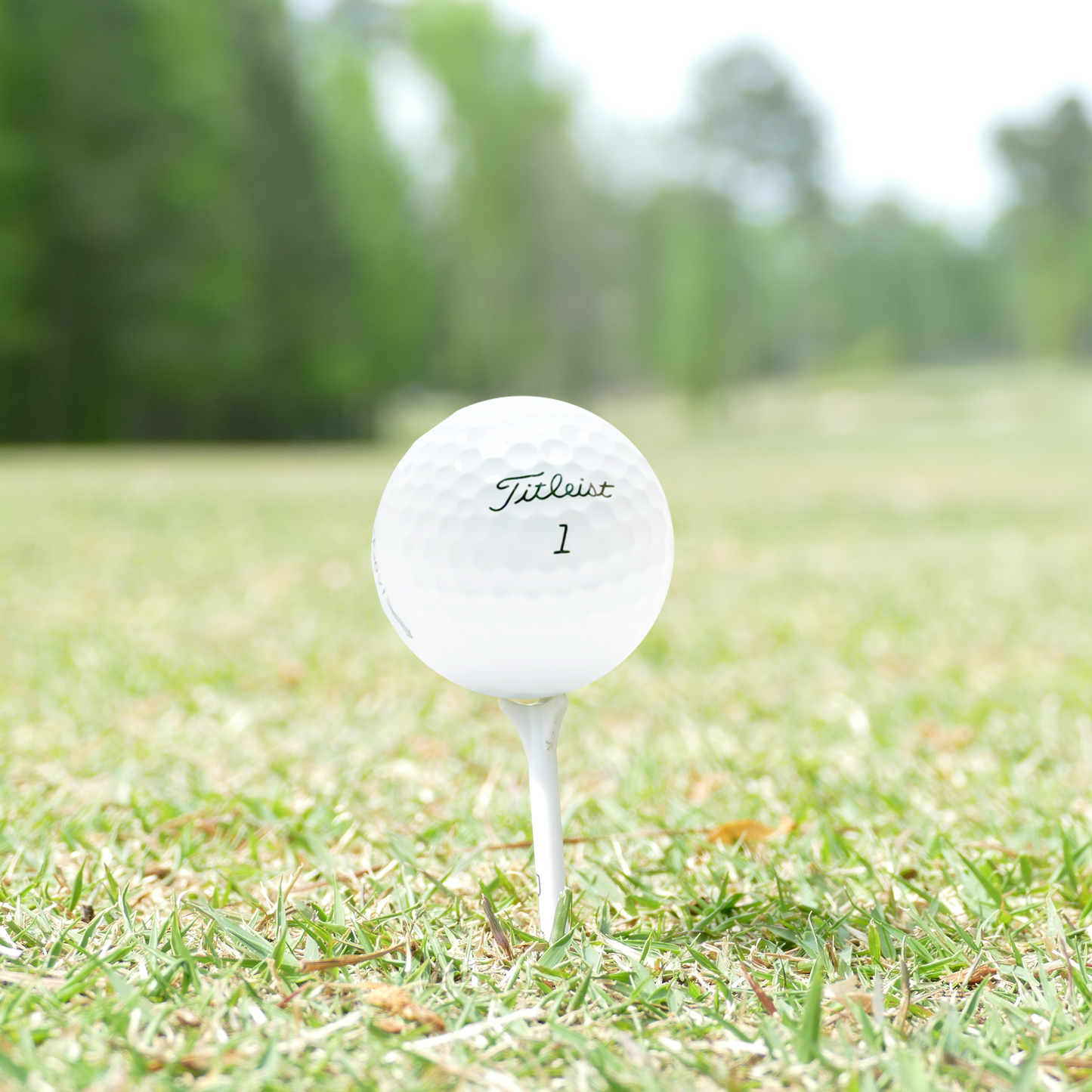 Used Titleist 2021 Pro V1 Golf Balls (One Dozen)