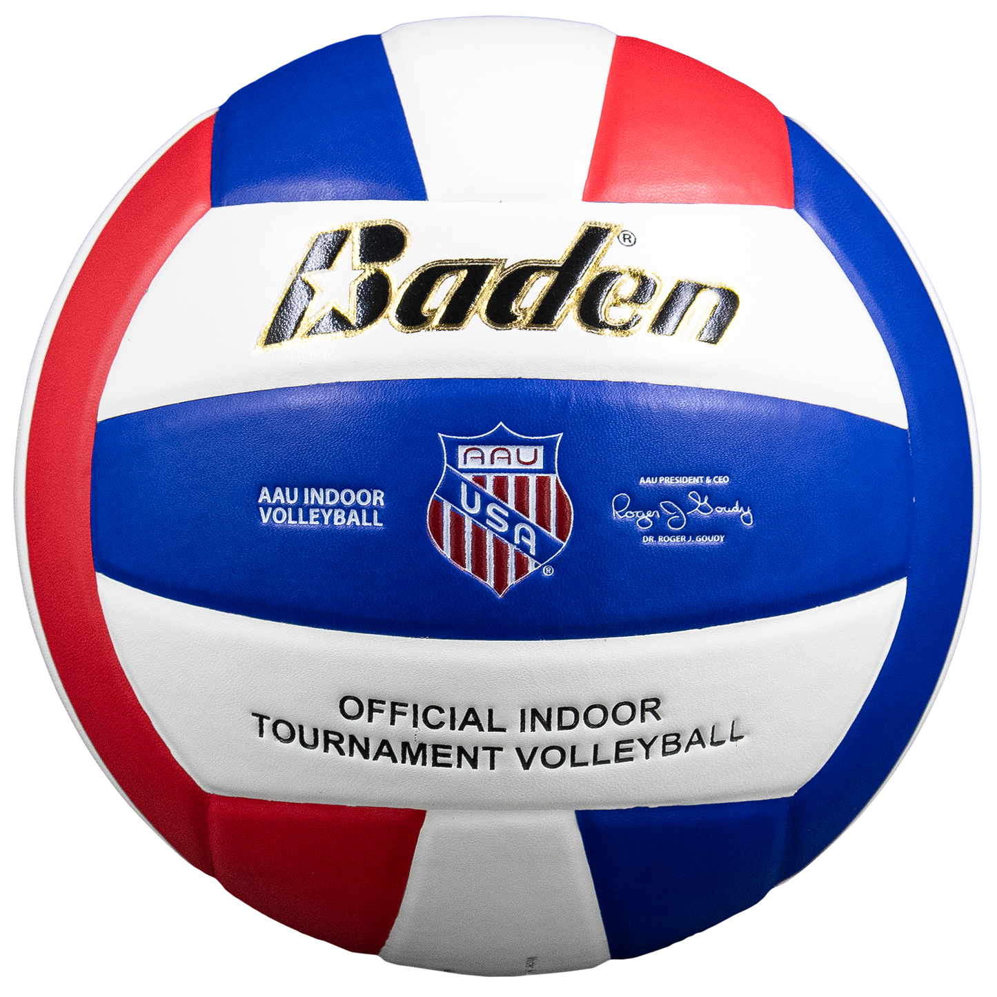 AAU Leather Volleyball
