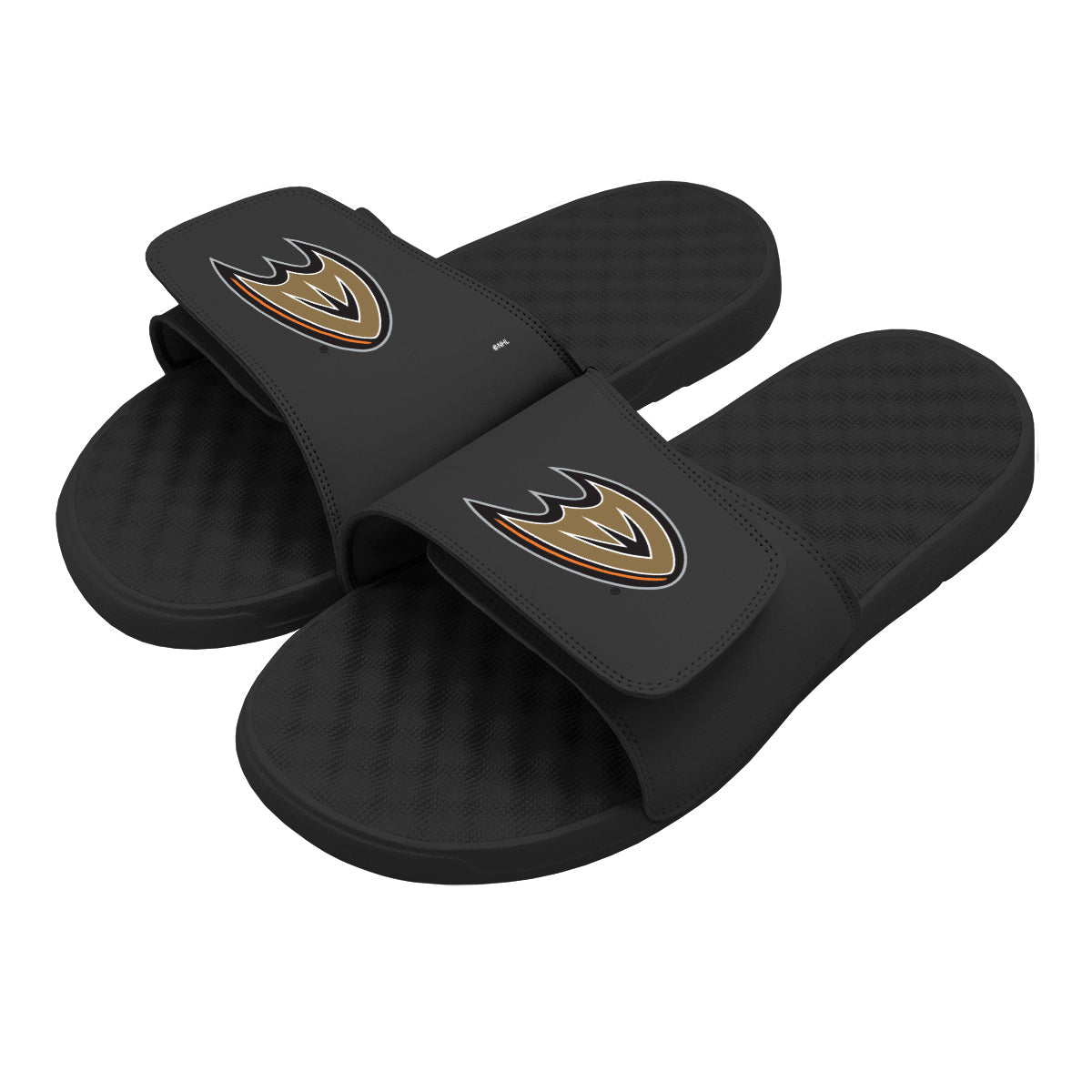 Anaheim Ducks Primary Slides
