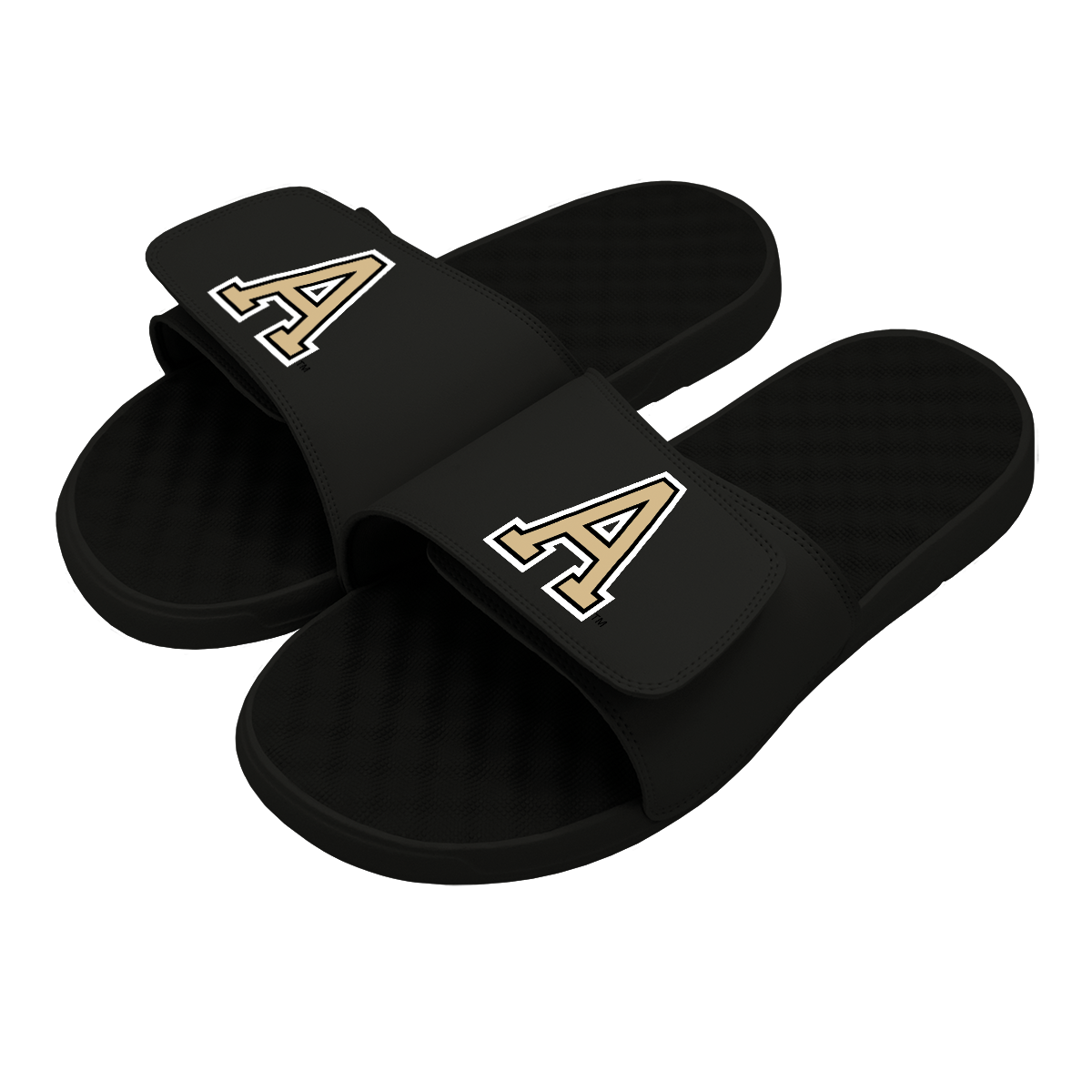 Army A Mark Logo Slides
