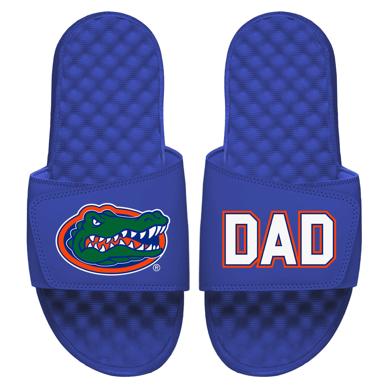 Dad Florida Gators Slides