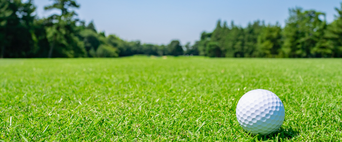 Golf Ball Pricing. Why It Matters for Your Game.