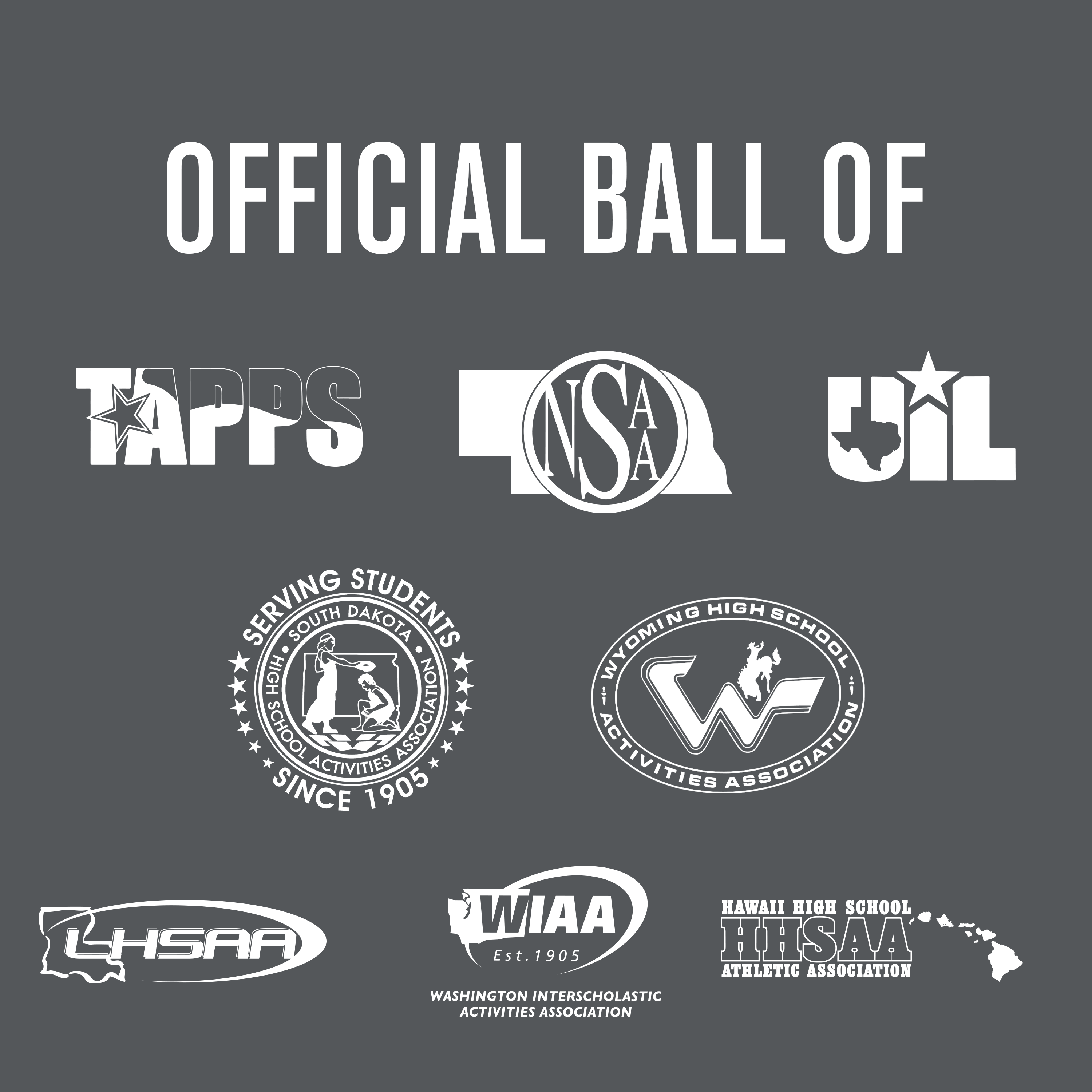 Perfection Game Softballs (One Dozen)