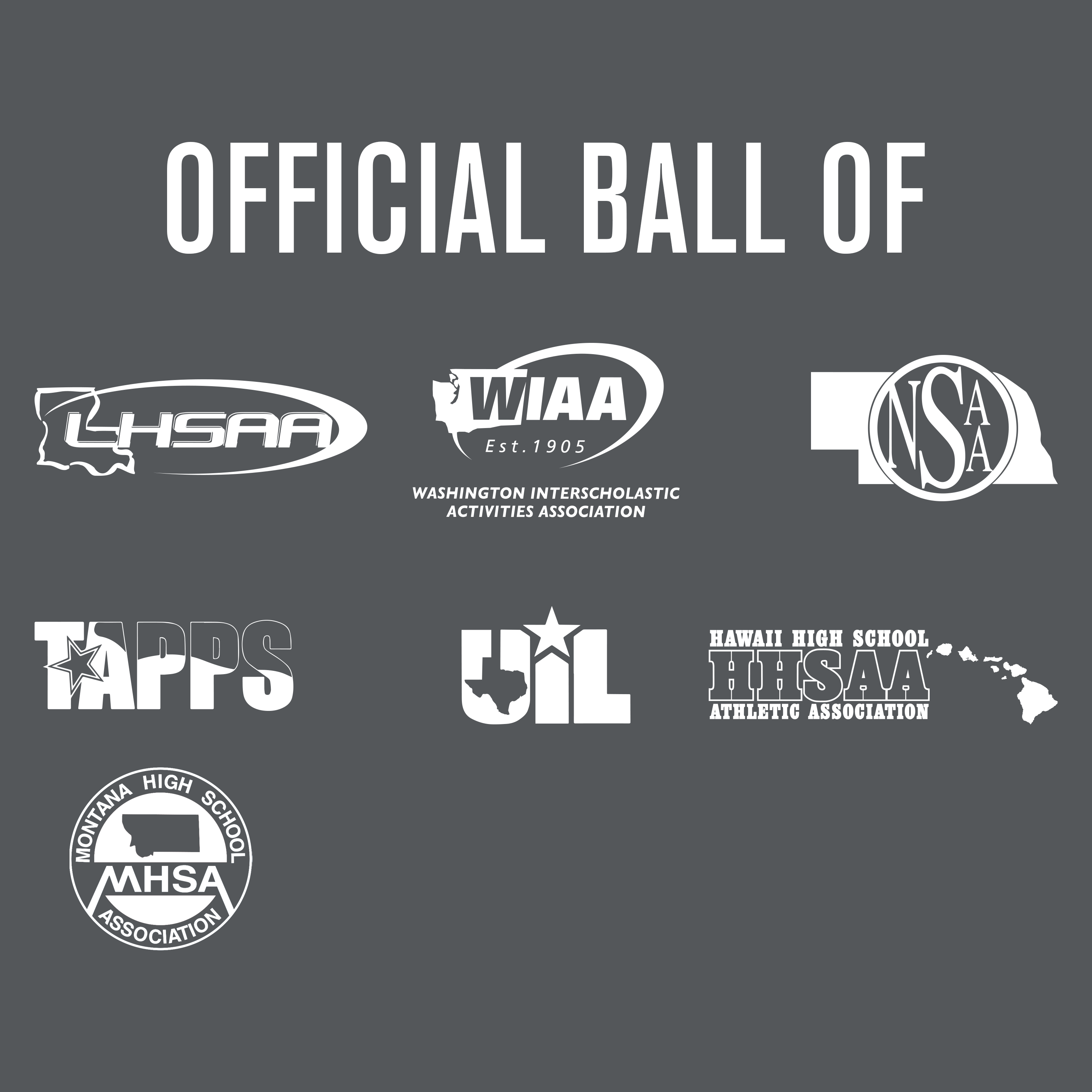 Perfection Pro Baseballs (One dozen)