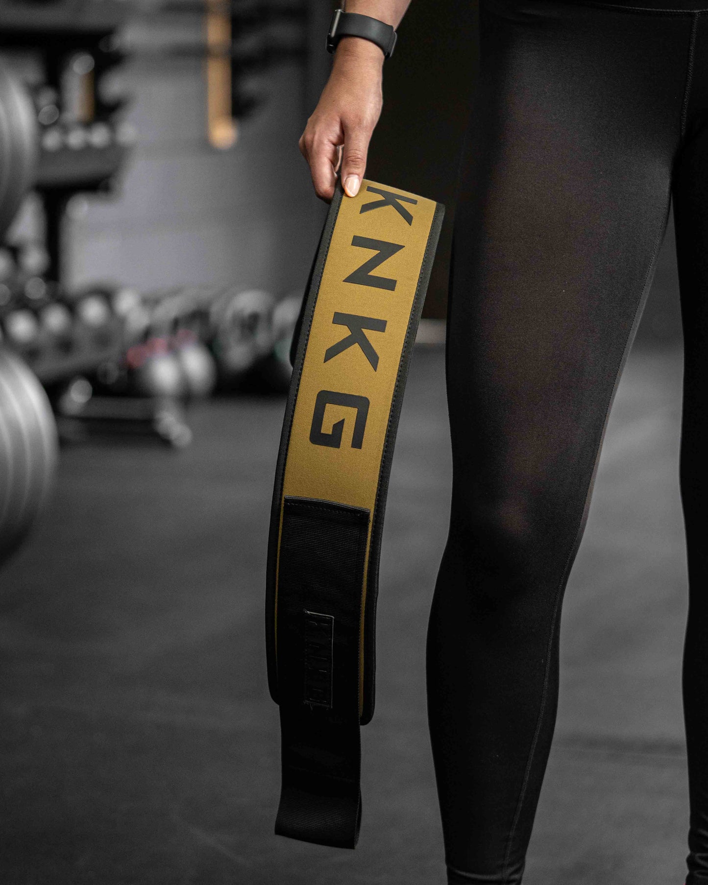 Lifting Belt