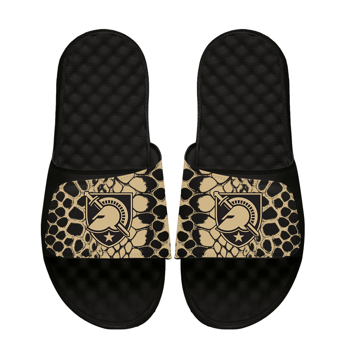 Army Black Knights Year of the Snake Slides