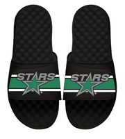 Dallas Stars Reverse Retro Slides