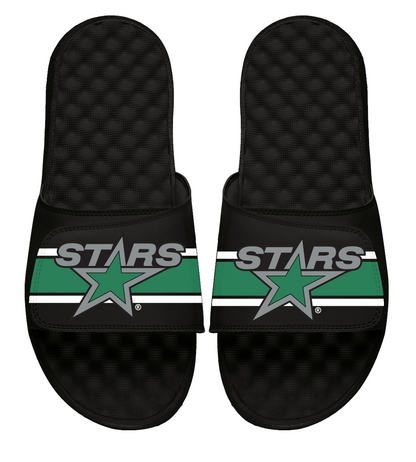 Dallas Stars Reverse Retro Slides