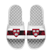 Harvard Crimson Distressed Slides