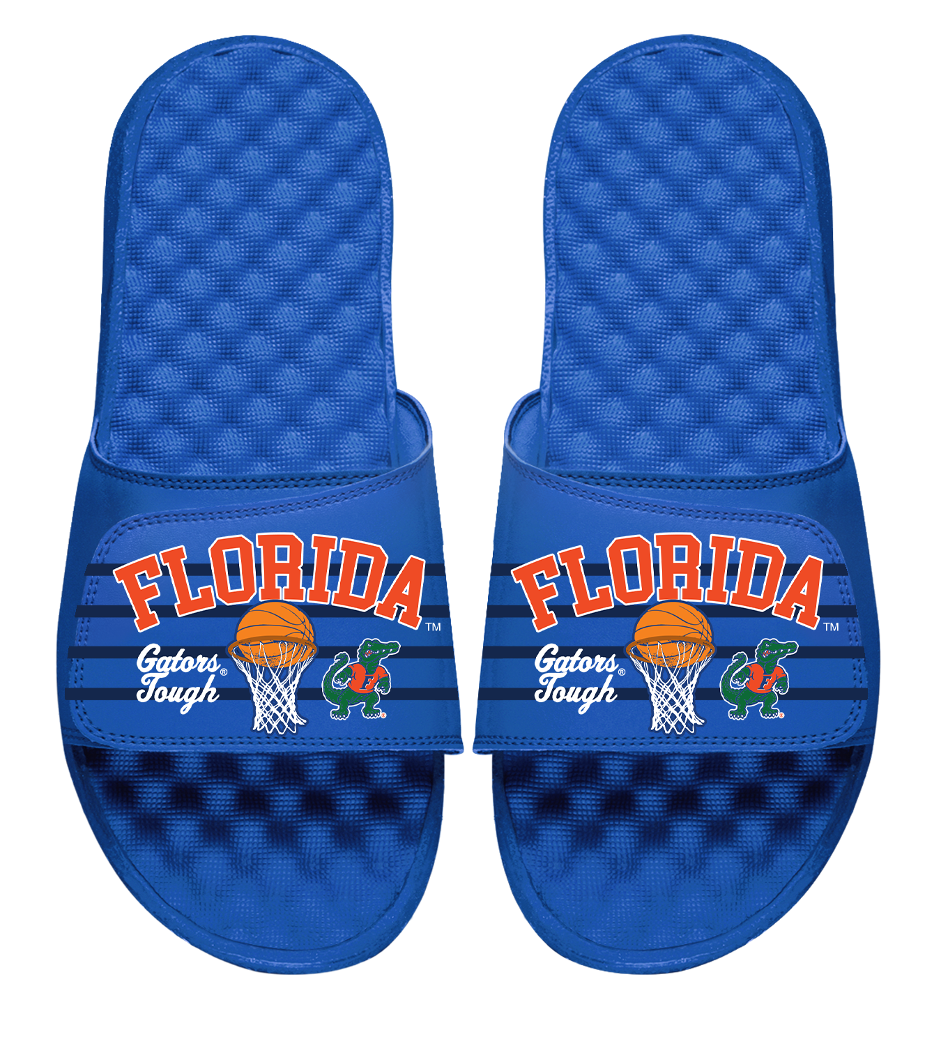 Florida Gators Basketball Collage Slides