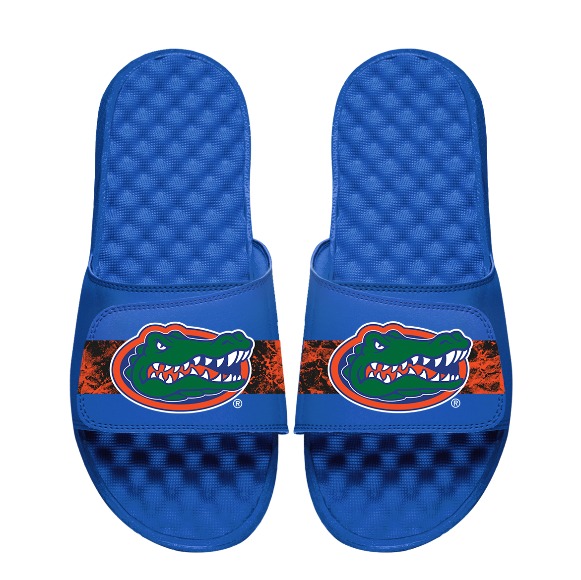 Florida Gators Distressed Slides