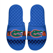 Florida Gators Distressed Slides