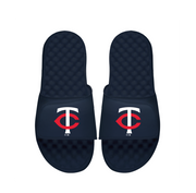 Minnesota Twins Primary Slides