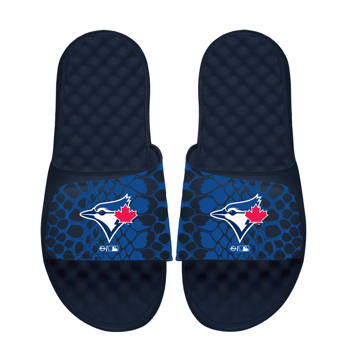 Toronto Blue Jays Year of the Snake Slides