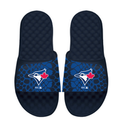 Toronto Blue Jays Year of the Snake Slides
