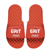 Clemson Stacked Basketball Logo