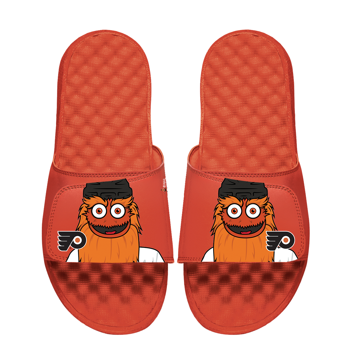 Philadelphia Flyers Mascot Slides