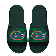 Florida Gators Year of the Snake Slides