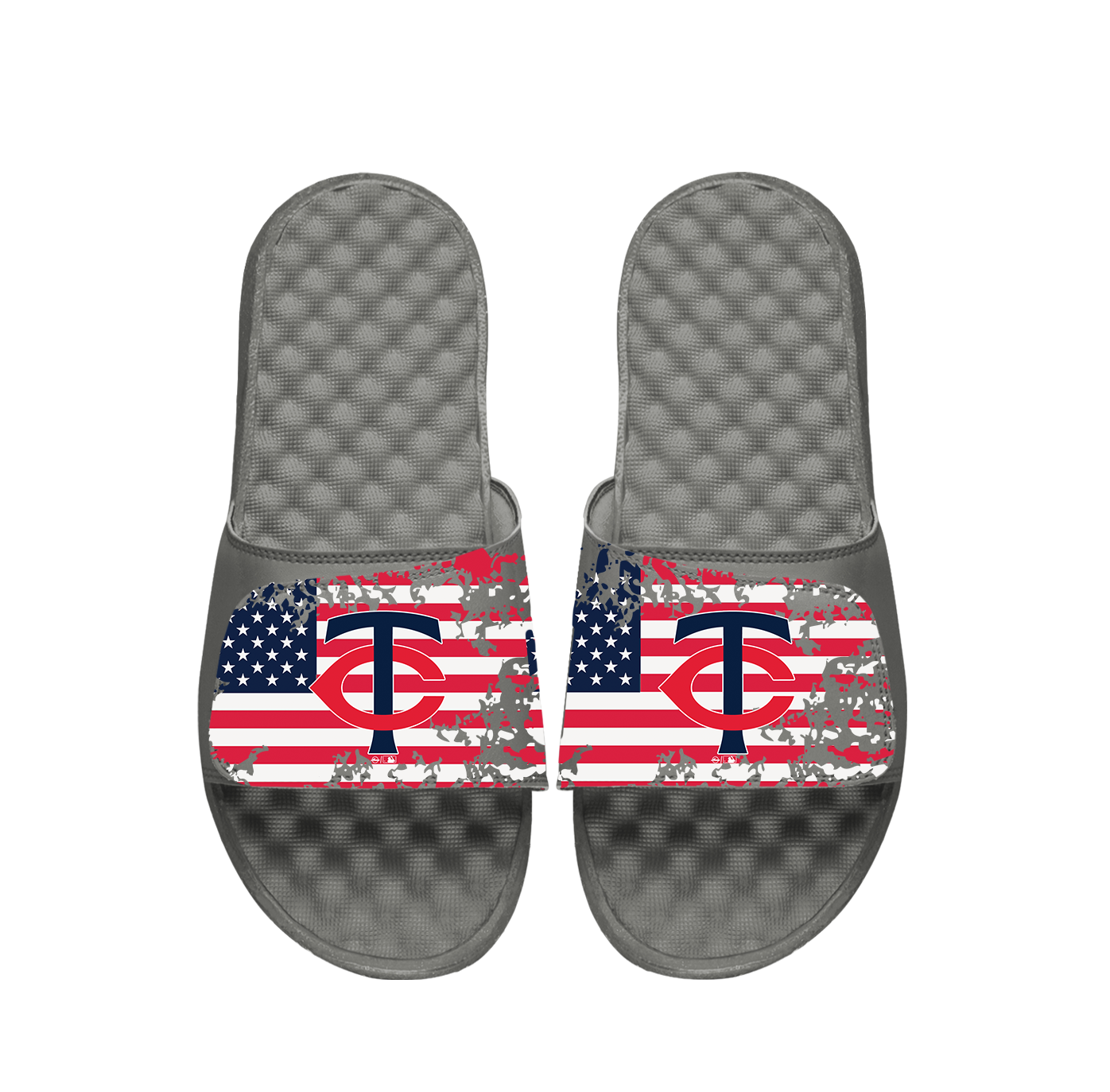Minnestoa Twins American Flag Slides