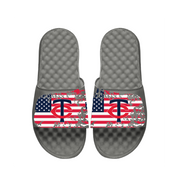 Minnestoa Twins American Flag Slides