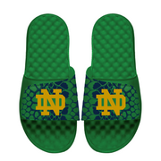 Notre Dame Fighting Irish Year of the Snake
