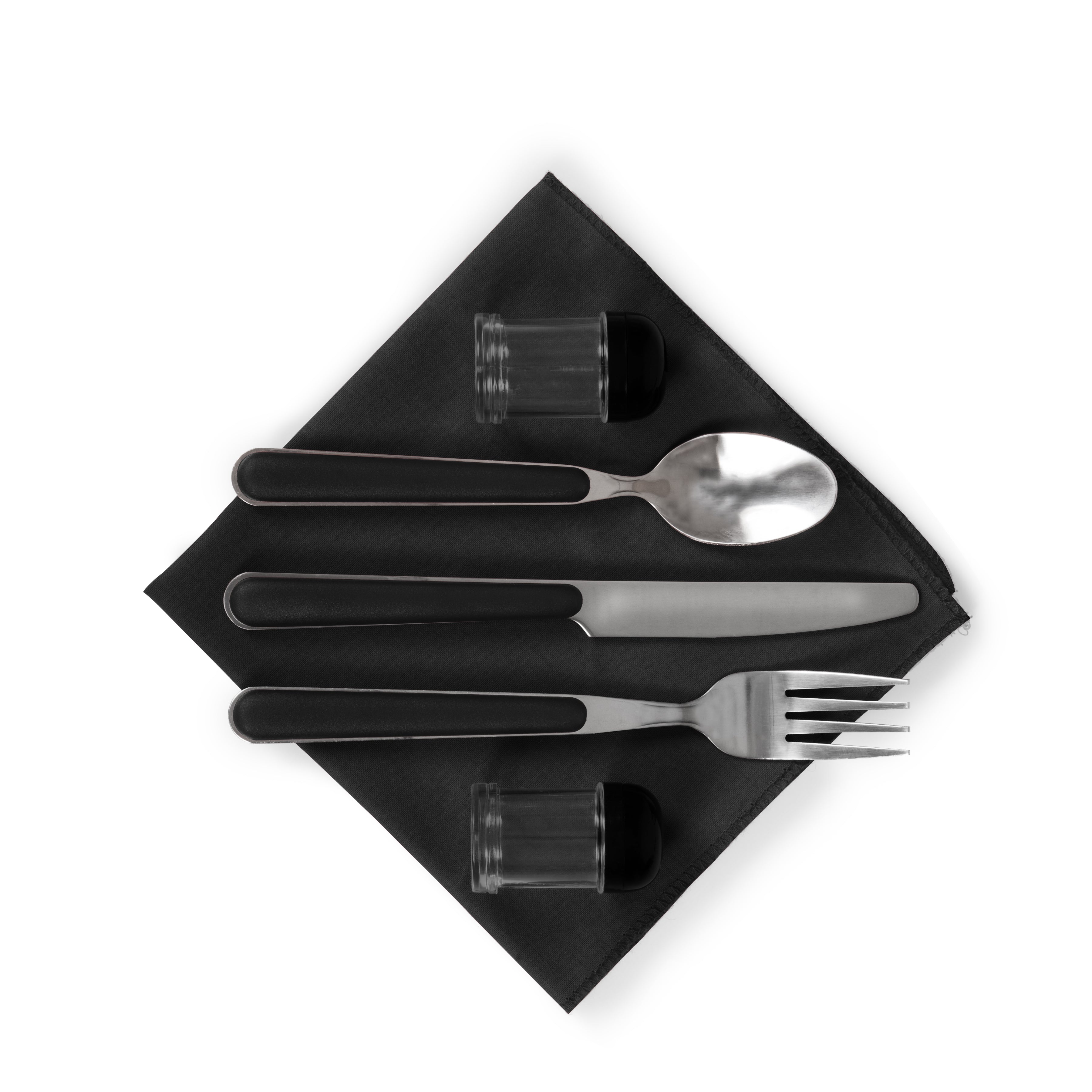 Philadelphia Eagles Pranzo Lunch Bag Cooler with Utensils