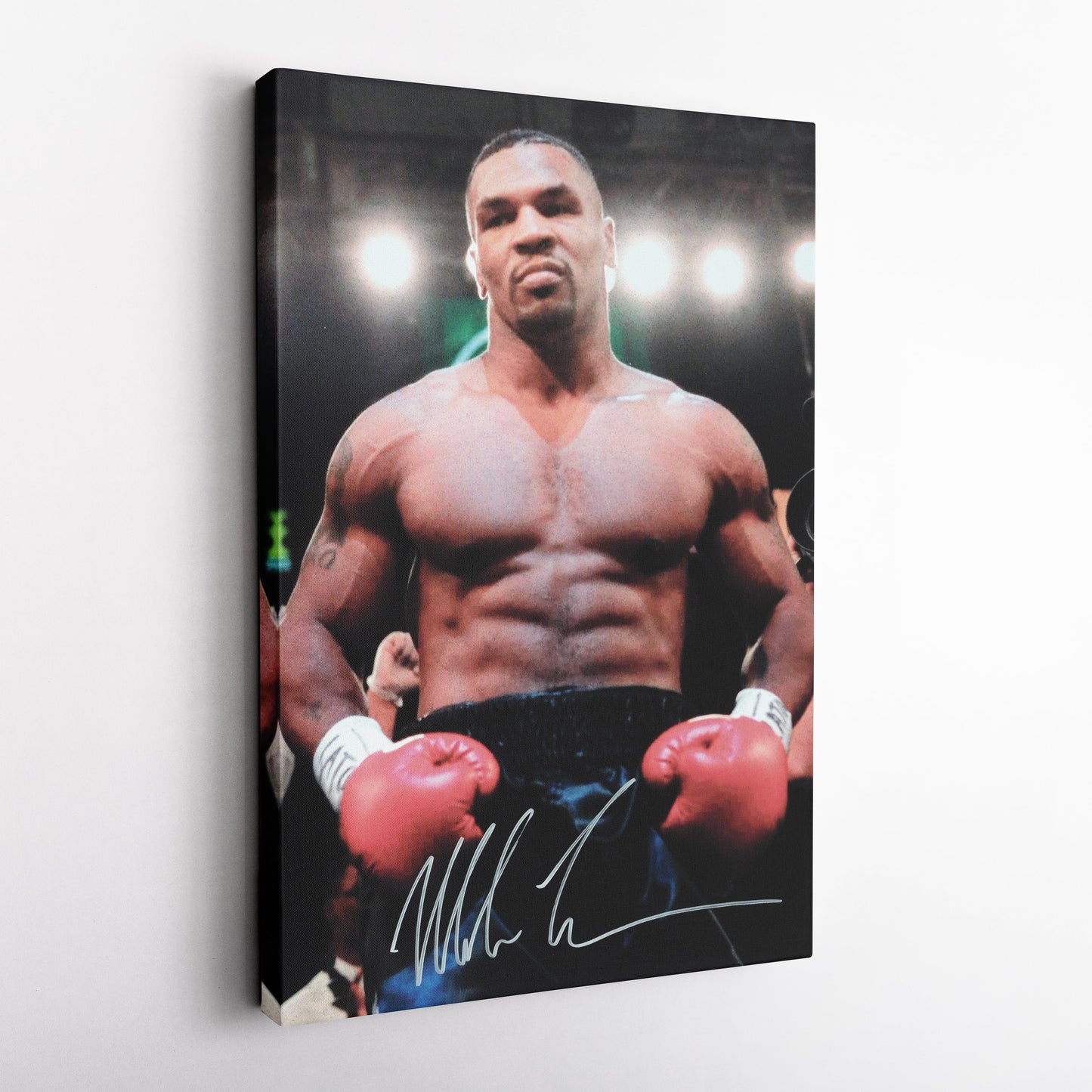 Mike Tyson Autograph Canvas Boxing Wall Art