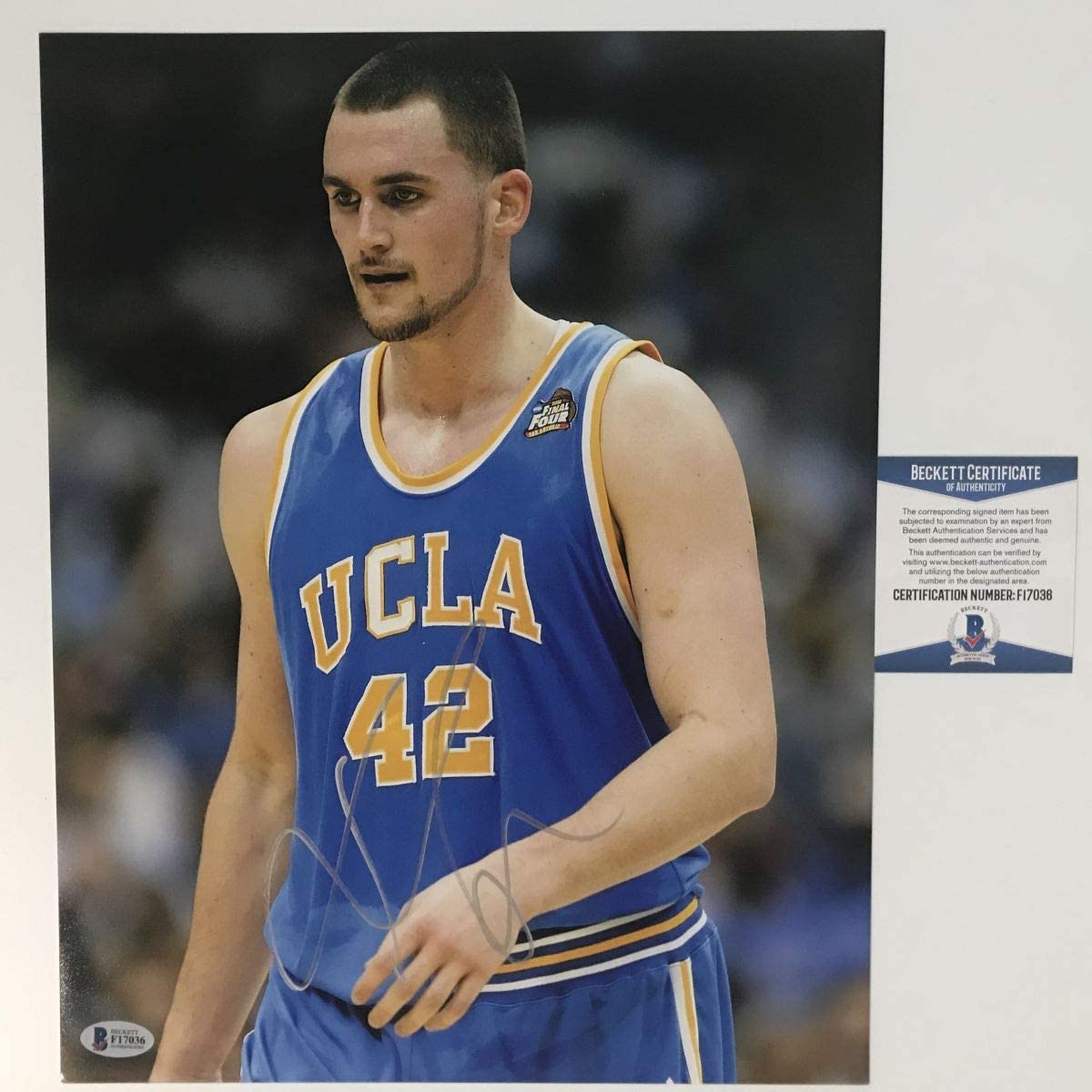 Autographed Kevin Love UCLA Bruins 11x14 College Basketball Photo