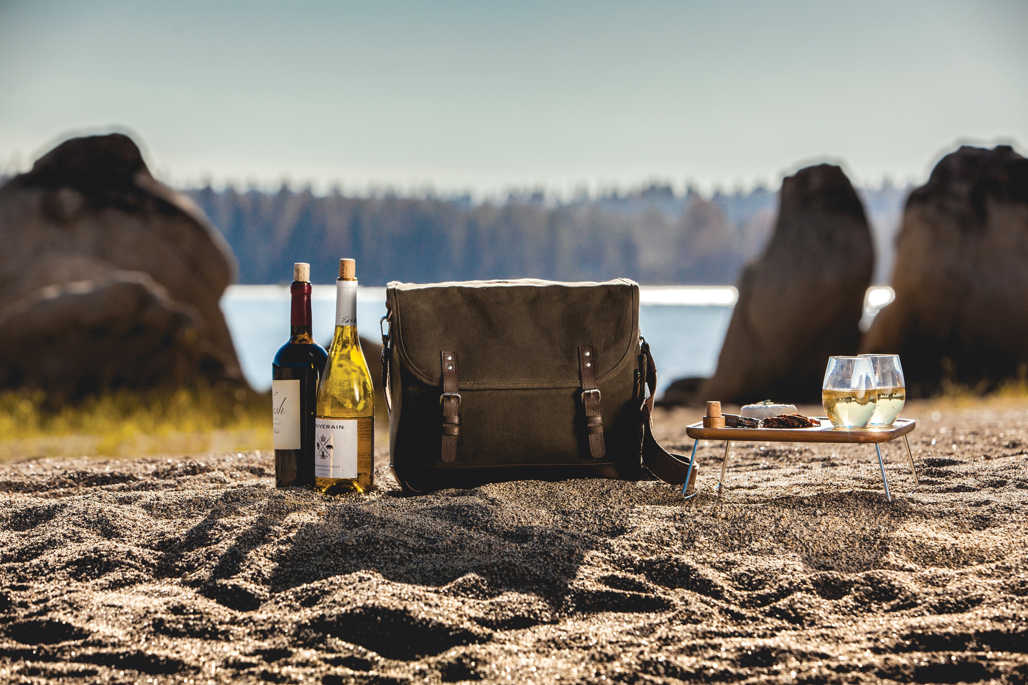 Seattle Seahawks Adventure Wine Tote