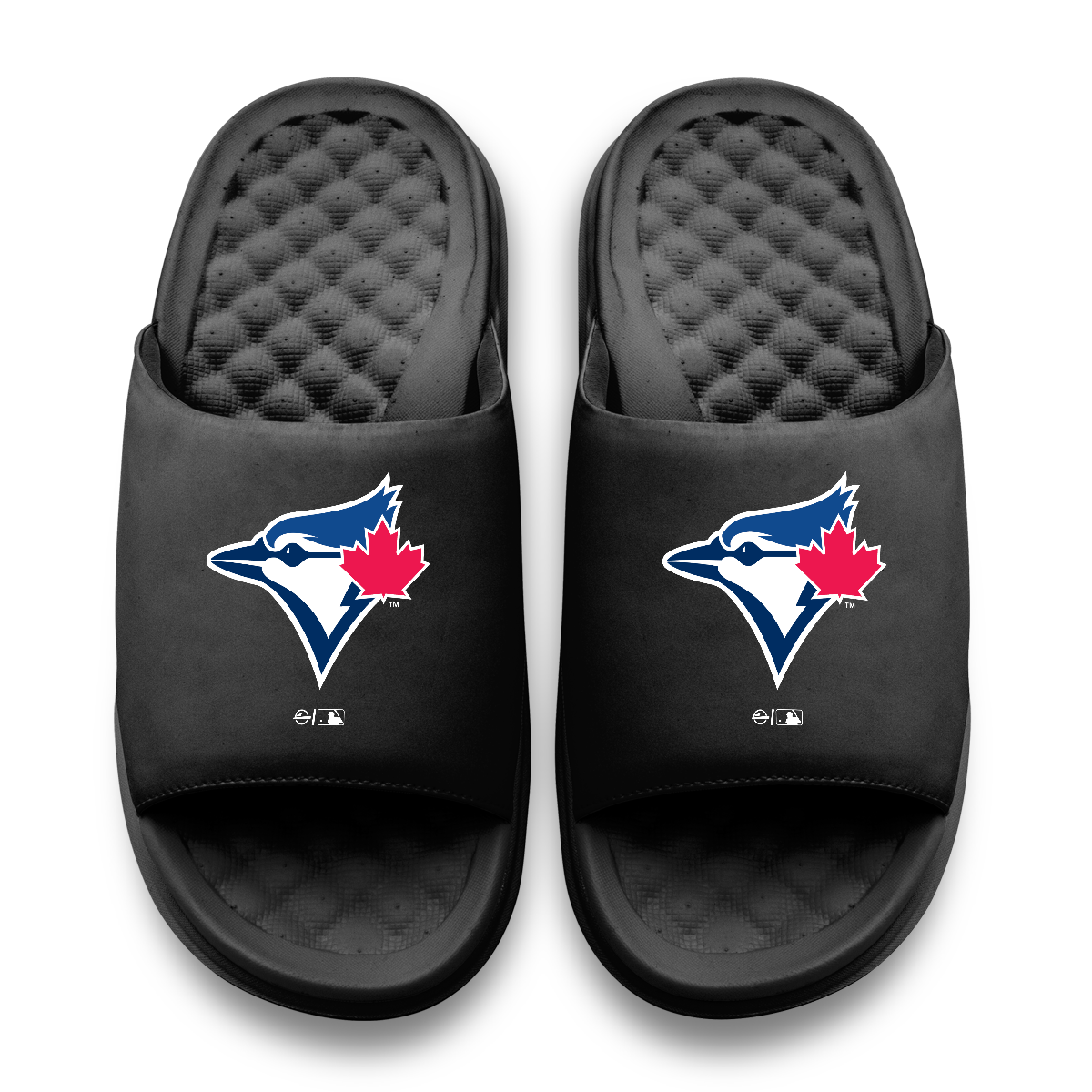 Toronto Blue Jays Primary Motive Slides