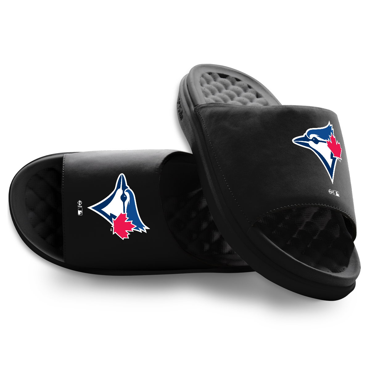Toronto Blue Jays Primary Motive Slides