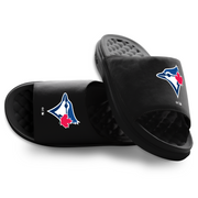 Toronto Blue Jays Primary Motive Slides