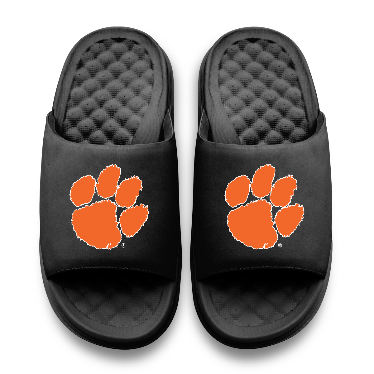 Clemson Tigers Primary Motive Slides