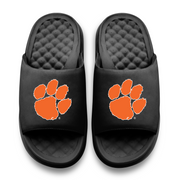 Clemson Tigers Primary Motive Slides