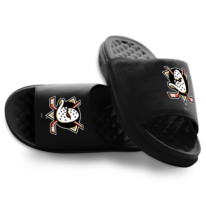 Anaheim Ducks Primary Motive
