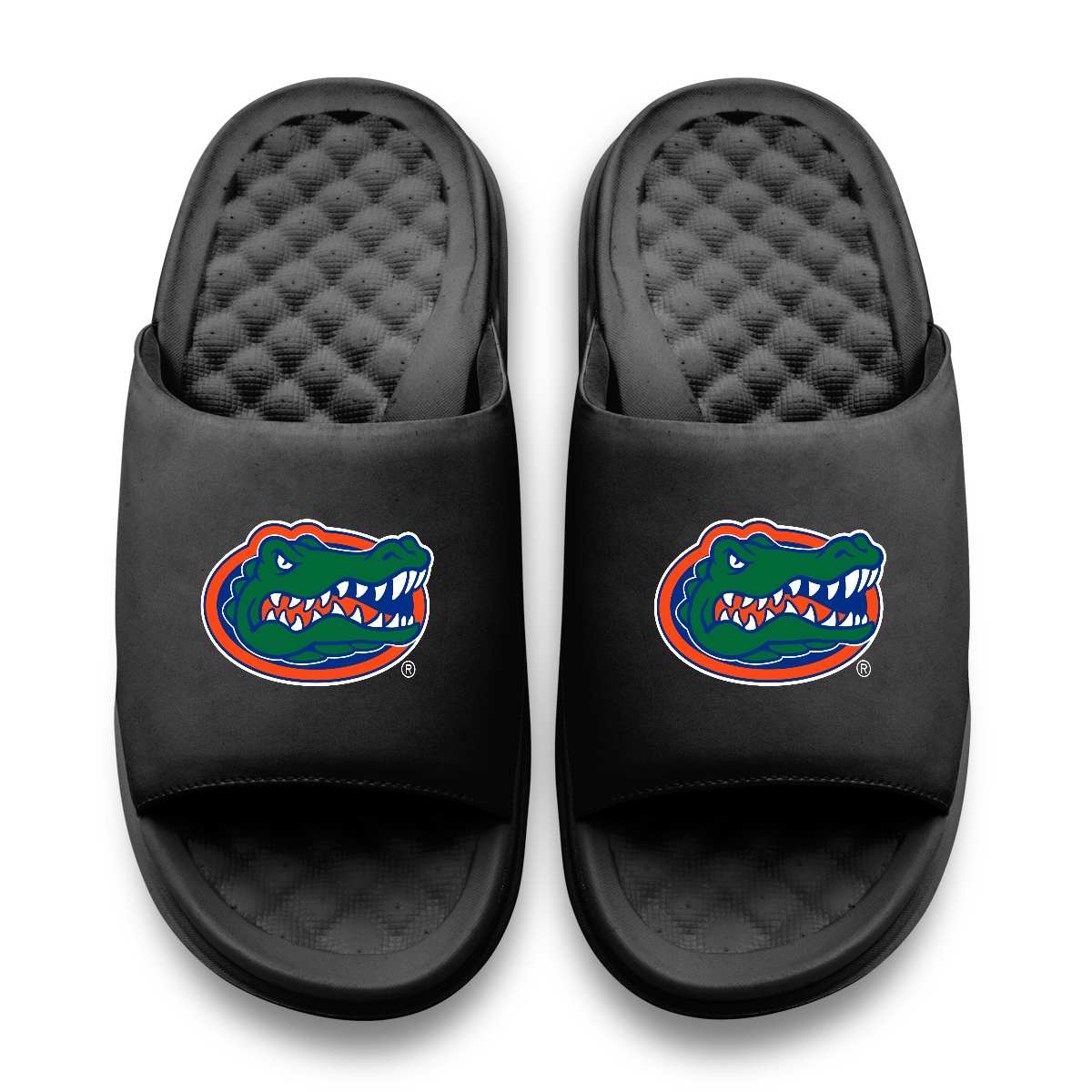 Florida Gators Primary Motive Slides