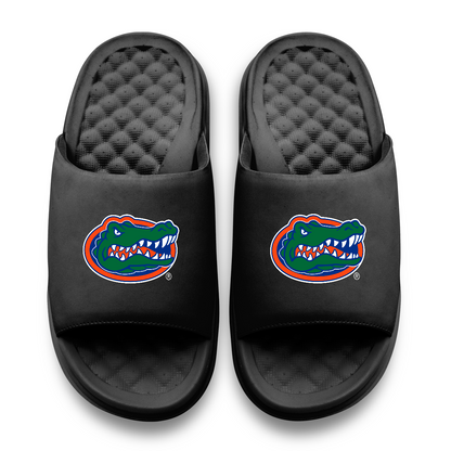 Florida Gators Primary Motive Slides
