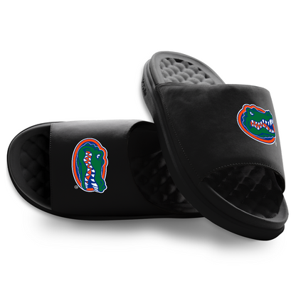 Florida Gators Primary Motive Slides