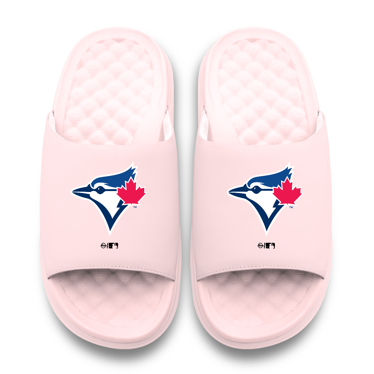 Toronto Blue Jays Primary Motive Slides