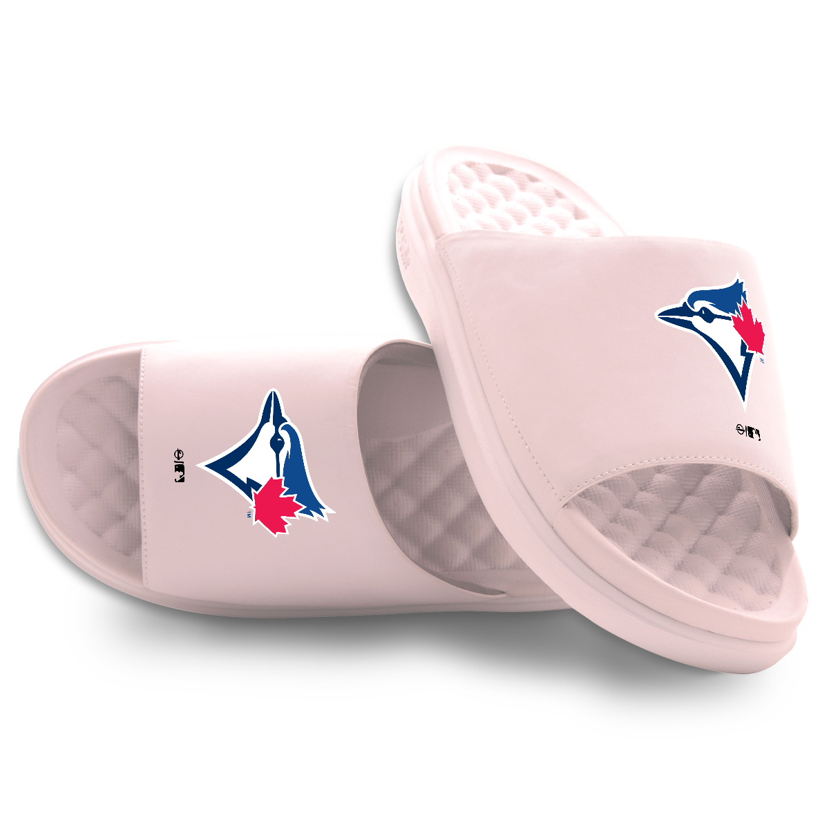 Toronto Blue Jays Primary Motive Slides