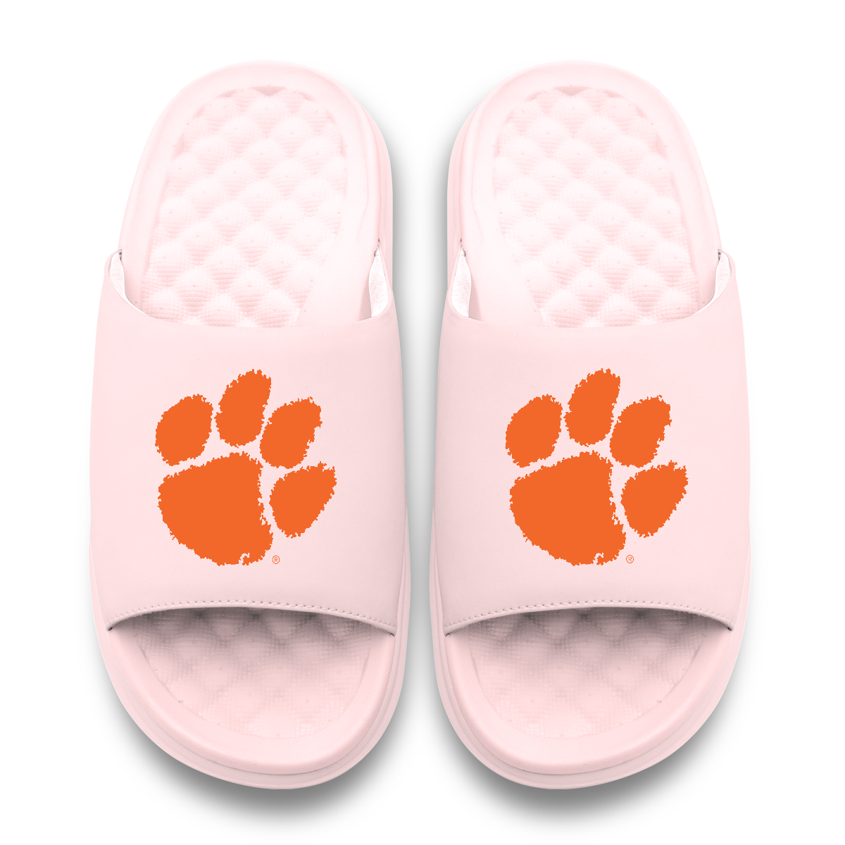 Clemson Tigers Primary Motive Slides