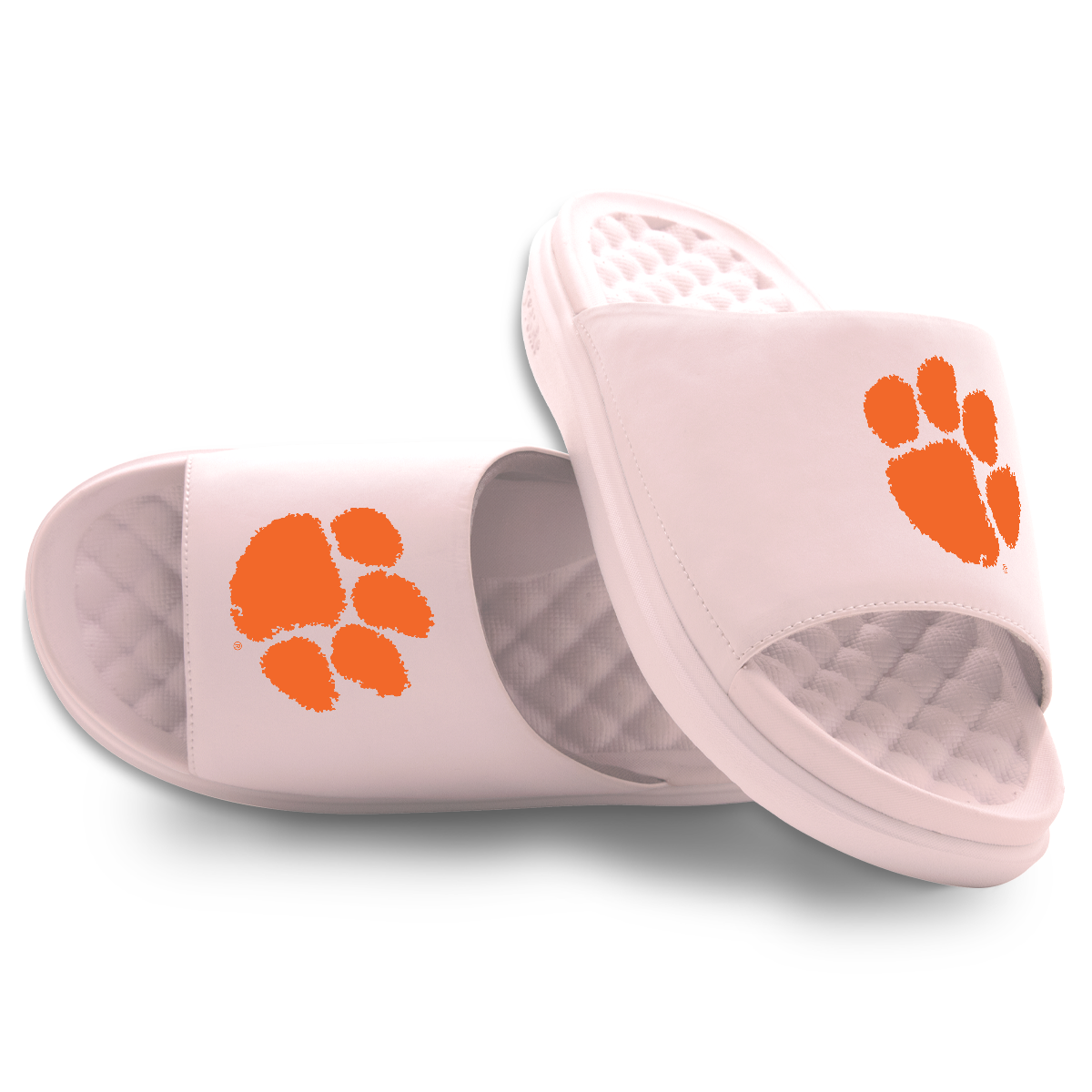 Clemson Tigers Primary Motive Slides