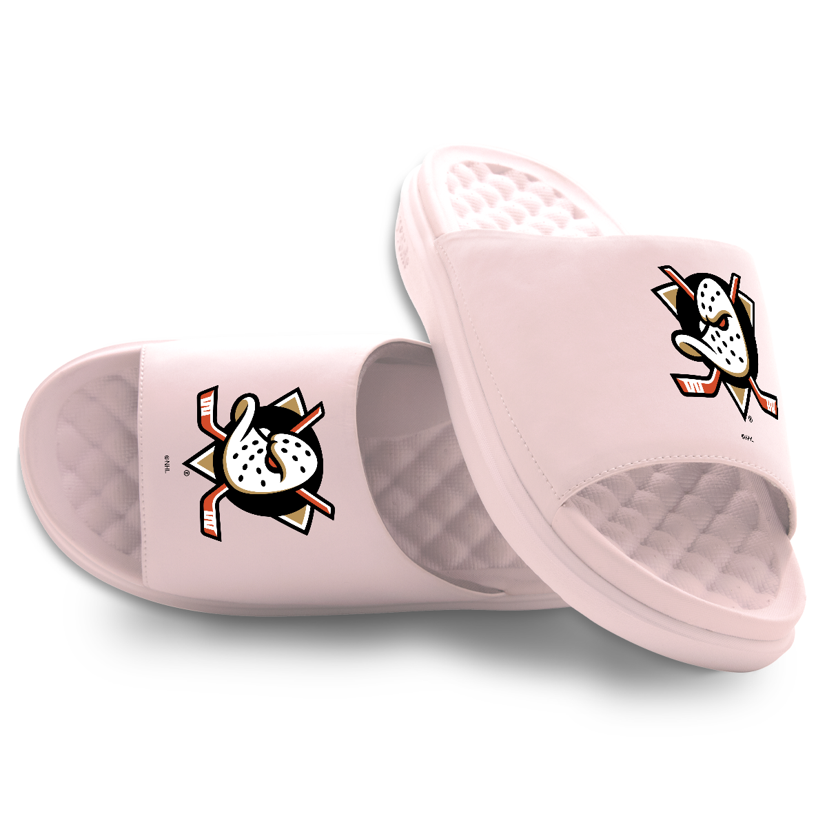 Anaheim Ducks Primary Motive
