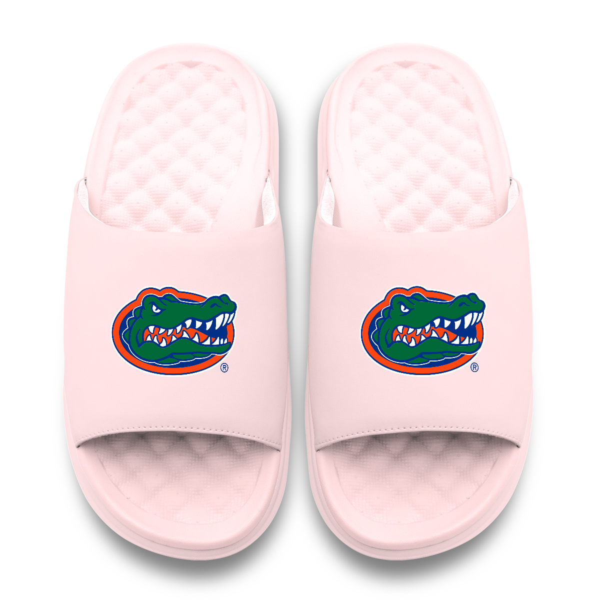Florida Gators Primary Motive Slides
